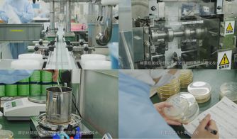 櫻花約定，匠心傳承 日本娜麗絲衛(wèi)生用品的前世今生